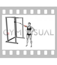 Band One Arm Overhead Biceps Curl (female)