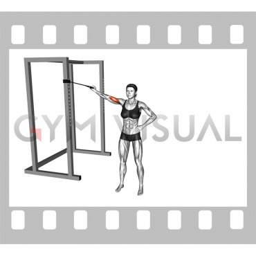 Band One Arm Overhead Biceps Curl (female)