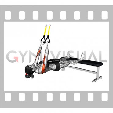 Suspender Wide Grip Inverted Row (female)