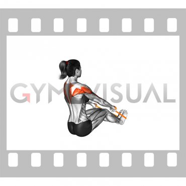 Resistance Band Seated Wide Row (female)