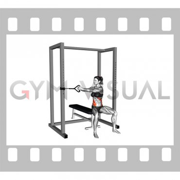 Band Seated Twist (female)