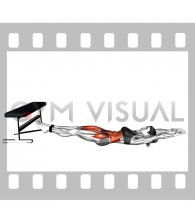 Band V-up (female)