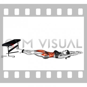 Band V-up (female)