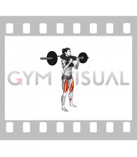 Safety Bar Front Squat (female)
