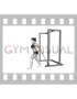 Band 45 degrees One Arm Biceps Curl (female)