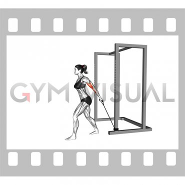 Band 45 degrees One Arm Biceps Curl (female)