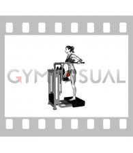 Lever Side Hip Adduction (female)