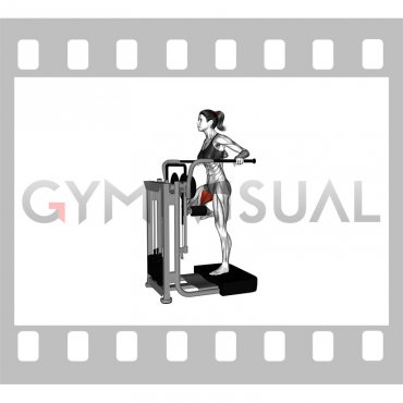 Lever Side Hip Adduction (female)