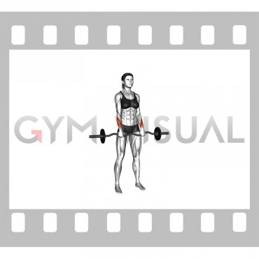 EZ Barbell Standing Wrist Reverse Curl (female)