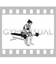 EZ Bar Seated Wrist Curl (female)
