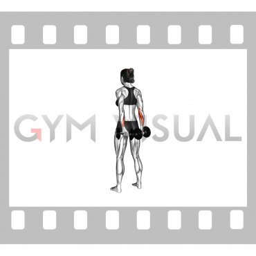 Dumbbell Standing Back Wrist Curl (female)