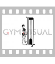 Cable Standing Wrist Reverse Curl (female)