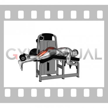 Lever Lying Leg Curl to Reverse Hyperextension