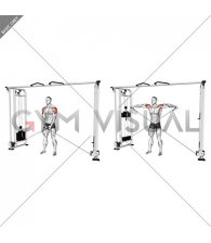 Cable Lateral Raise