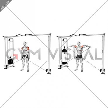 Cable Lateral Raise