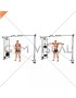 Cable Lateral Raise