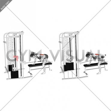 Cable Bent Over Single Arm Neutral Grip Kickback with Rope Attachment (female)