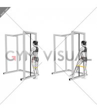 Resistance Band Standing Side Leg Raise (female)