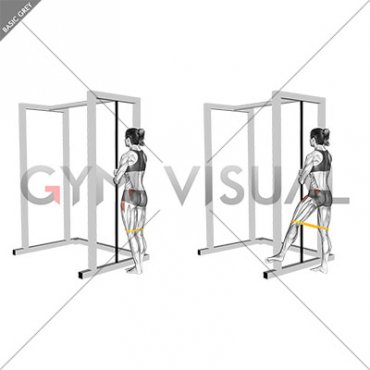 Resistance Band Standing Side Leg Raise (female)