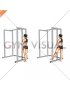 Resistance Band Standing Side Leg Raise (female)