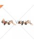 Lying Thoracic Extensions on Foam Roller (female)