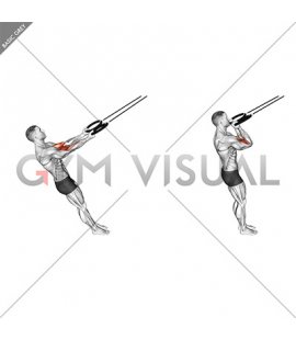 Ring Arm Curl (male)