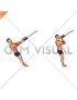 Ring Arm Curl (male)