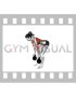 Kettlebell Reverse Grip Row (female)
