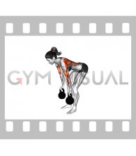 Kettlebell Reverse Grip Row (female)