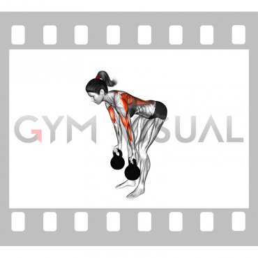 Kettlebell Reverse Grip Row (female)