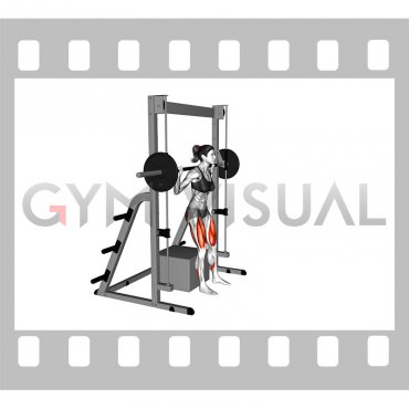 Smith Box Squat (female)