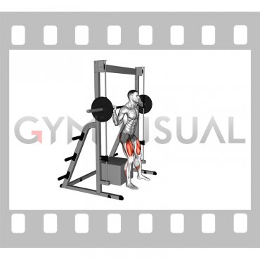 Smith Box Squat (male)