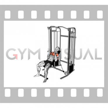 Cable Incline Close grip Bench Press (male)