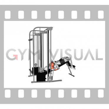 Cable Decline Close grip Press (male)