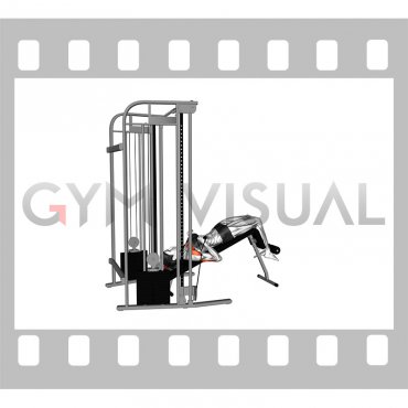 Cable Decline Close grip Press (female)