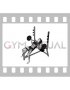 Barbell Incline Wide Grip Bench Press (female)