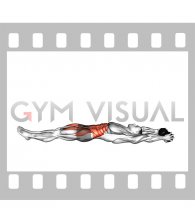 Weighted Dumbbell Hollow Hold (male)