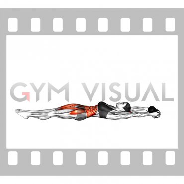 Weighted Dumbbell Hollow Hold (female)
