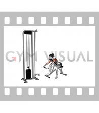 Cable Incline Row (female)