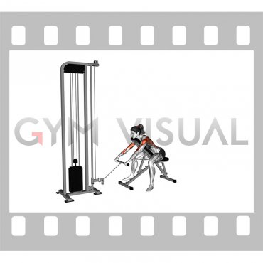 Cable Incline Row (female)