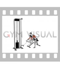 Cable Incline Row (male)