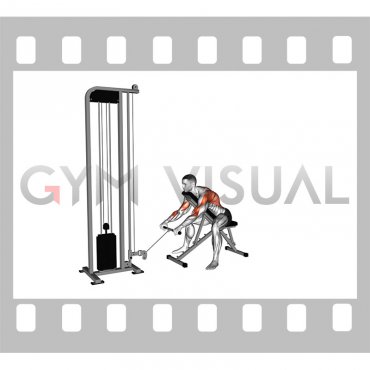 Cable Incline Row (male)