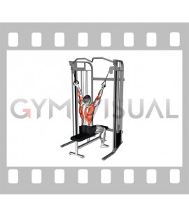 Cable Twin Handle Reverse Grip Lat Pulldown
