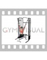 Cable Twin Handle Reverse Grip Lat Pulldown