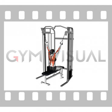 Cable Twin Handle Reverse Grip Lat Pulldown (female)
