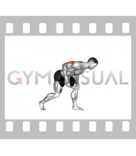 Dumbbell One Arm Kickback
