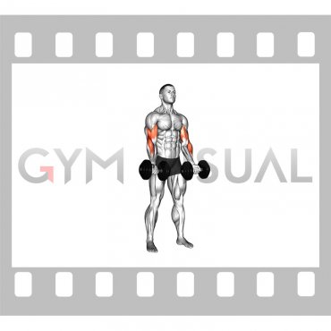 Dumbbell Zottman Curl