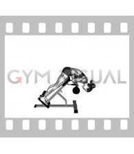 Kettlebell 45 degrees Back Extension (female)