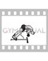 Kettlebell 45 degrees Back Extension (male)