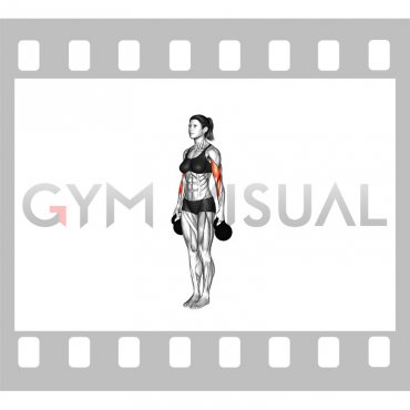 Kettlebell Standing Hammer Curl (female)